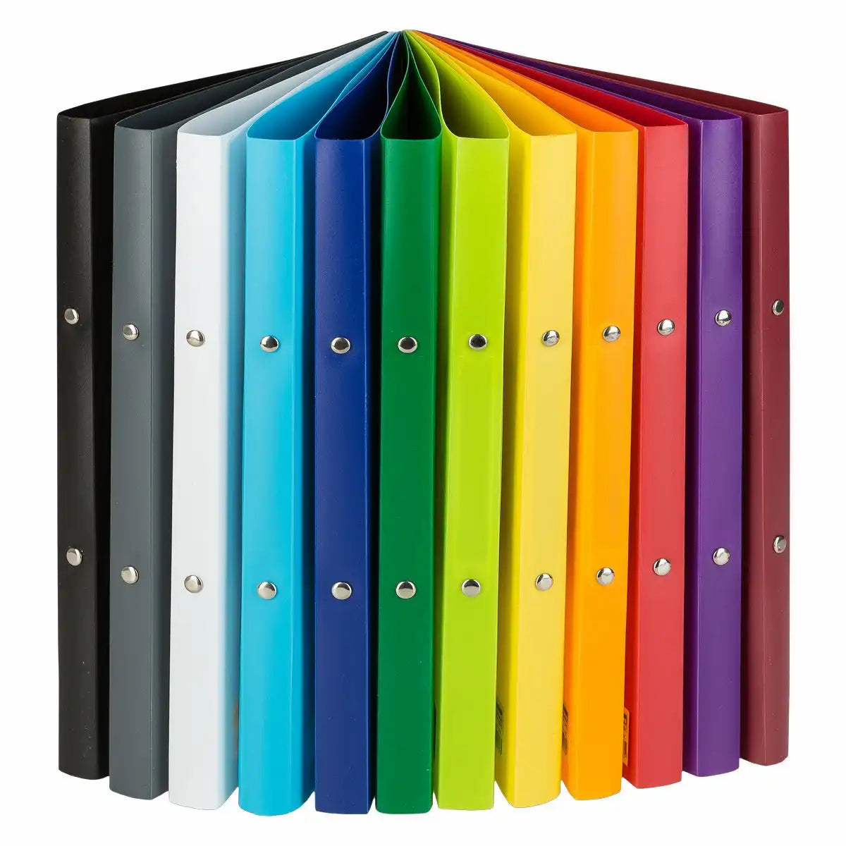 Idena Display Ringbuch inkl. Rückenschilder und Stehsammler DIN A4 12 Stück